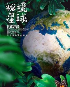 限时优惠升杯 三星S24系列京东付尾款抢先入手